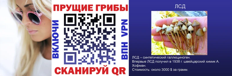 Псилоцибиновые грибы мухоморы где можно купить Ишимбай