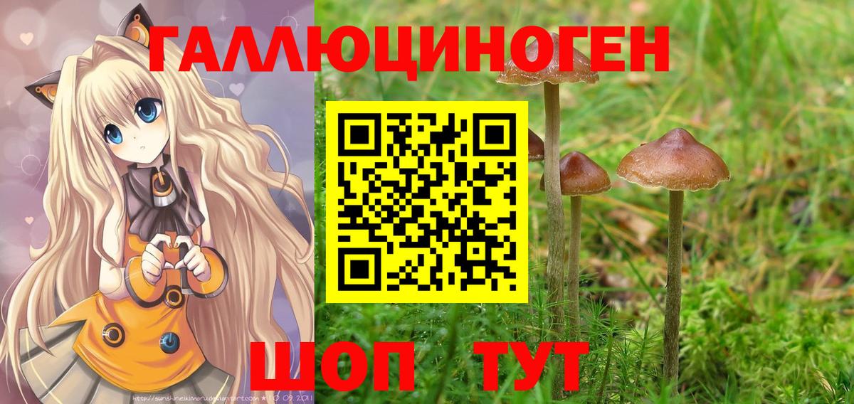 Псилоцибиновые грибы Cubensis  Галлюциногенные грибы мицелий  Ишимбай 